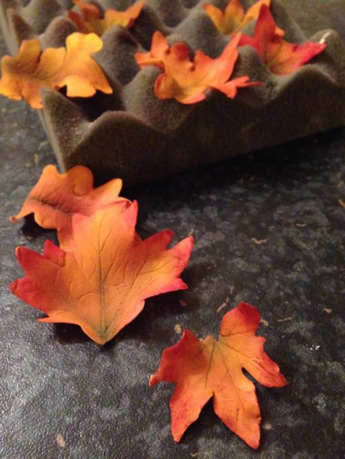 1549580_663764710403912_2821912164889960891_n