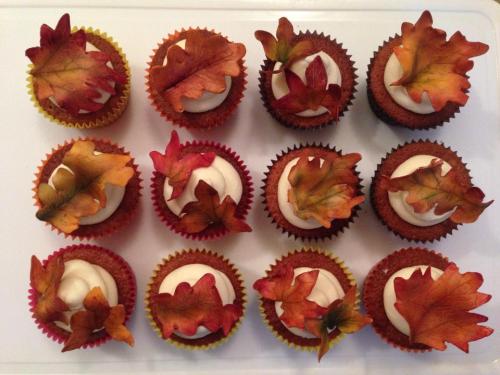 15780_664267103687006_390787564264591346_n