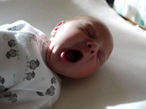 12046850_879051735541874_8451534902296080266_n